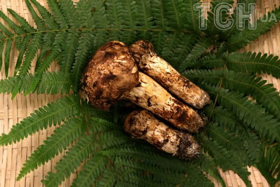  �������� ������ ����� �������� �������� 000 ������ ���� 