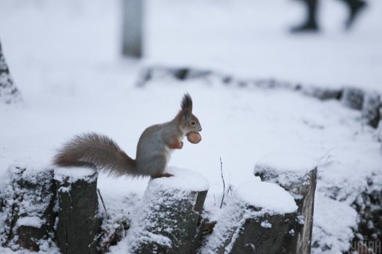 ����: ru.tsn.ua