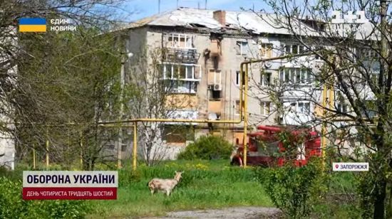  ��������� ��������� ���� ���������� 