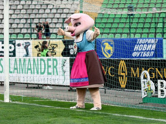  ��� ��� ������ ���� ������� ������ ������ 14-�� 