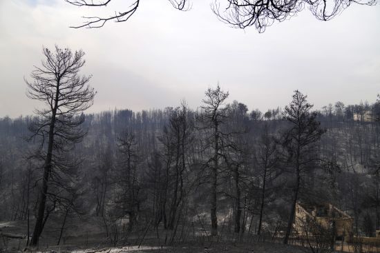  ������� ����� ������� ��������� 