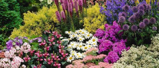  �������� ����� �������� ������ ����� �������� ������ ���������� 