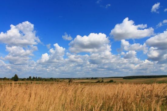  ���� ���������� ����� ����������� 