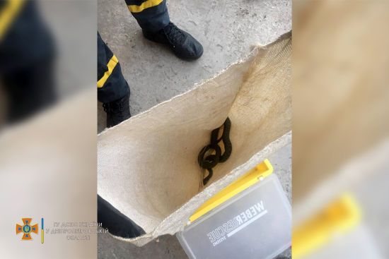 ����: ru.tsn.ua