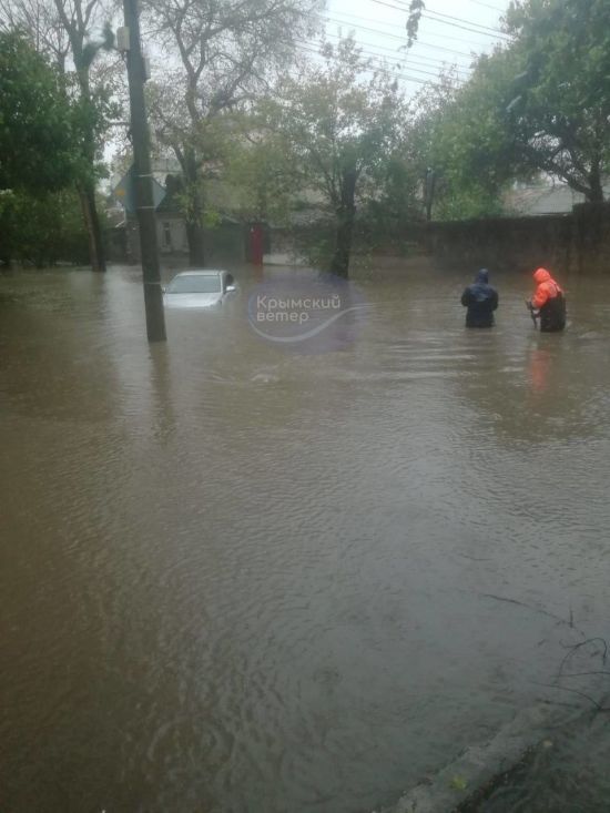  ����� ����� ����� ��������������� ���� ������ 