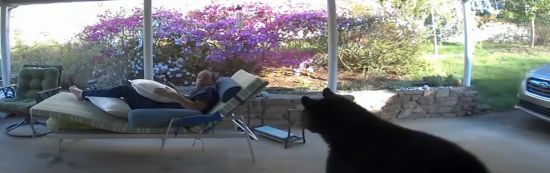  ������� ������� ���� ����� 