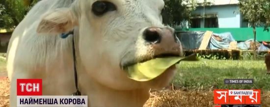  ������ ��������� ������ ���� 