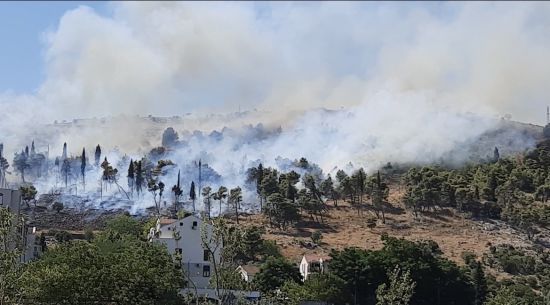  ���������� ����� ����� ������� ������ 