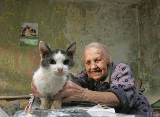  ��� ������ ����������� ����������� ������ �������� 2600 �������� 