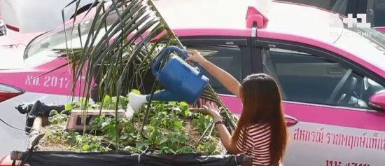  ������ ����������� �������� 