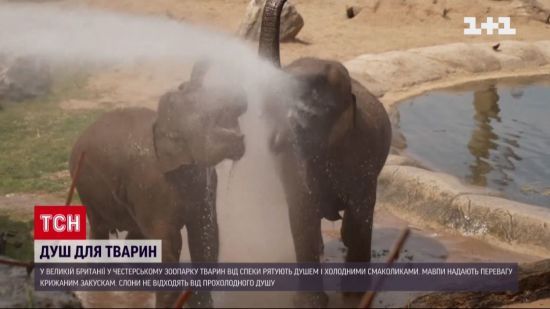  ����� ��� 2022 