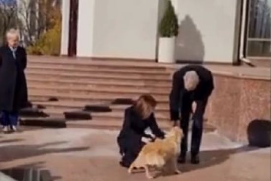  ������ ������ ���������� ��� 