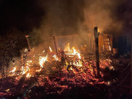  �������� 105 ���������� ����������� ������� ����� ������� ������ 