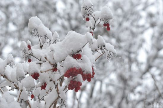  ���� ��������� �������� ������� ������ ������ ������ ����������� 