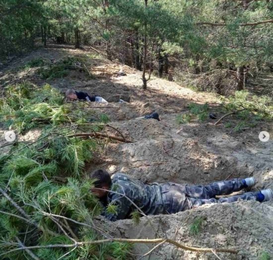  ���������� ������ �������� �������� 