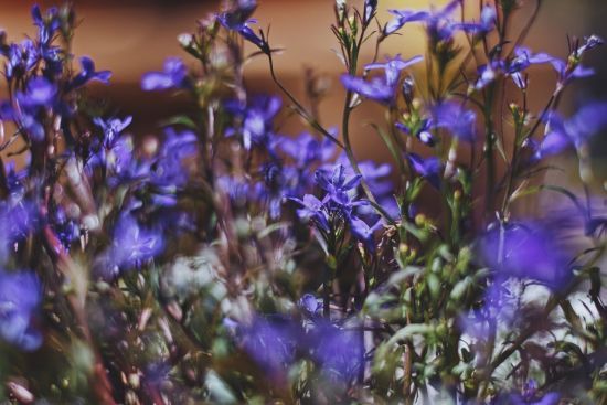  ���� ������ ����������� ����� 5-10 ������� 