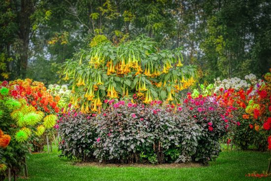  ���� ������ �������� ����� 