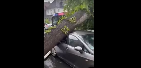 ����: ru.tsn.ua