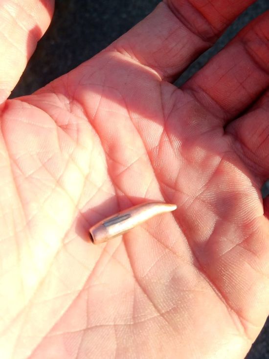  ������ ����� ������� ���� �������� �������� ������� 