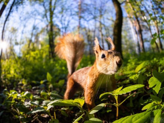  ������ �������� ����� ������� ������� ���� ������� ����� 