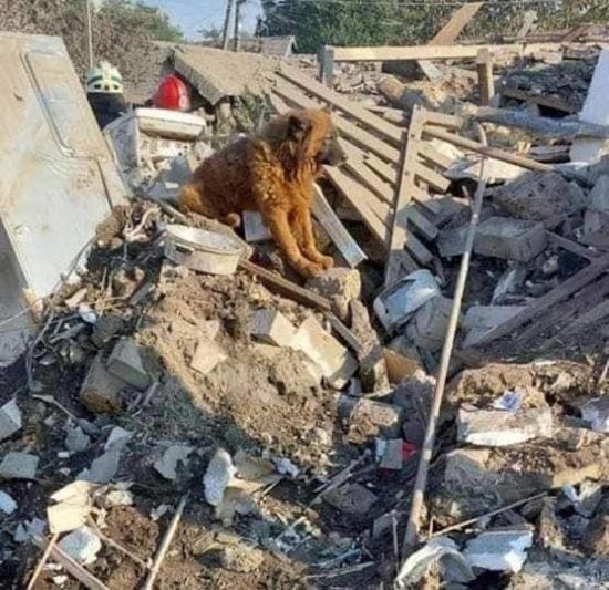  ������ ����� ���� ������ ���� ������ ������ �������� 