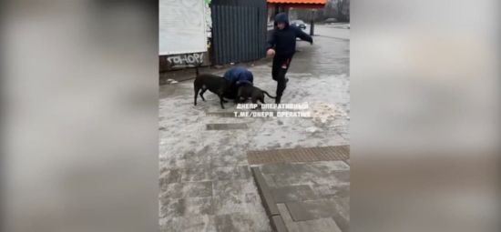  ������ ����� ������ ����������� ����� ������� ������ ����������� 