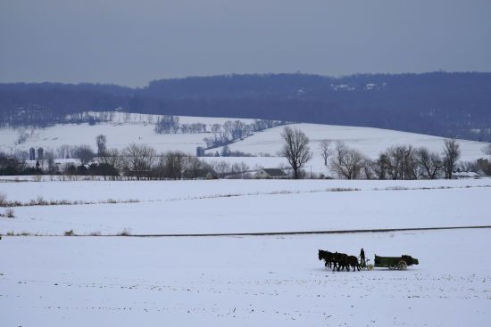  2024 ������ ����� �������� �������� ������� ����������� ��������� 