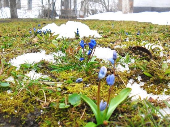 ����: ru.tsn.ua