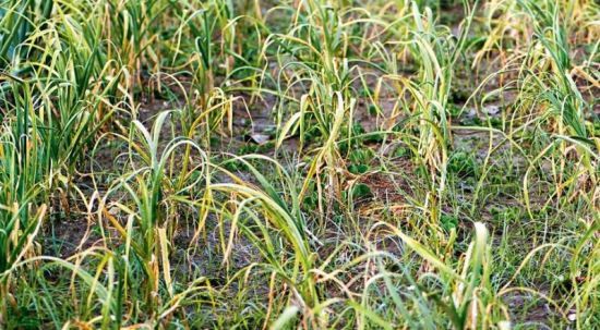  ������ ���� ������ ������� �������� �������� ������������� ��������� 