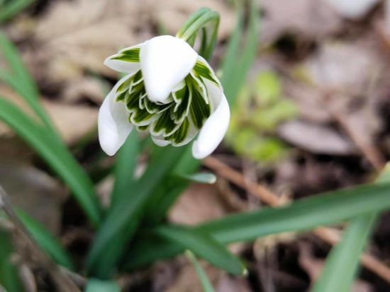  ��� ���� ���������� �������� 