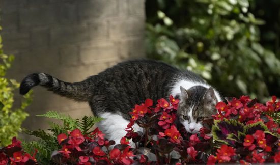  ���� ������� �������� ����� ������� ����� ������� ������ 