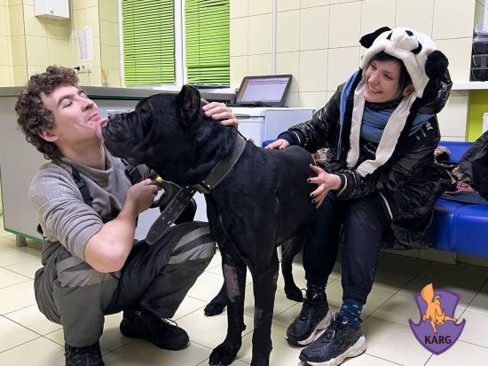  ��� ����� ������� 