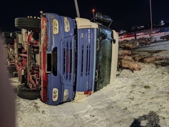  �������� ���� ������� ��� 