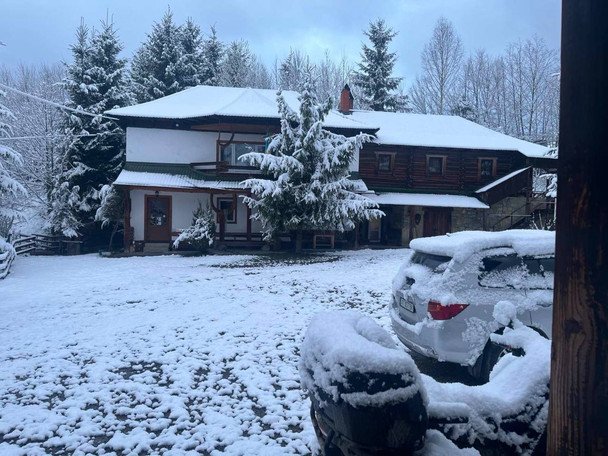 Снігопад на Закарпатті / © ТСН