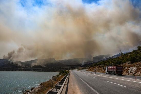 ����: ru.tsn.ua