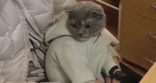  ��������� ������������ ���� ������ �������� ���������� ������������ ����� 