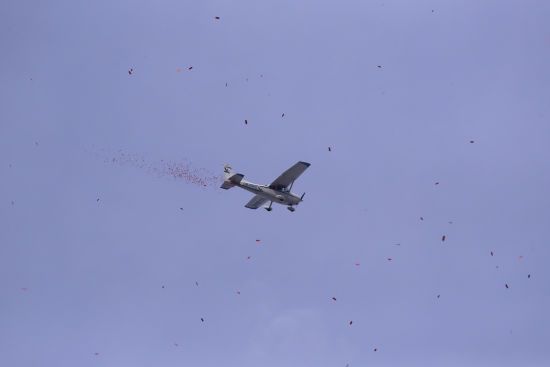 ����: ru.tsn.ua