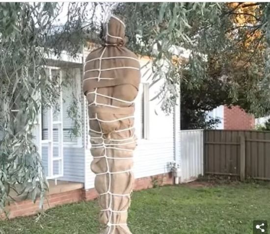 ����: ru.tsn.ua