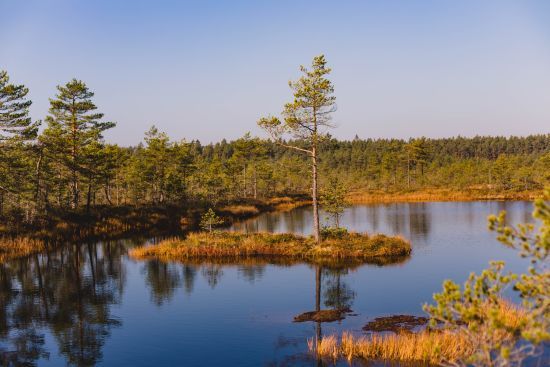 ����: ru.tsn.ua