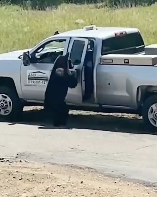  ������� ������ ������� ����� 