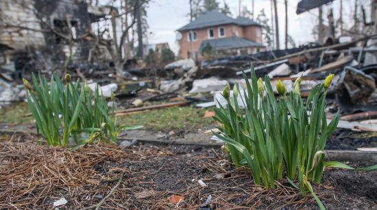  ������ ���� ����� ������ ������ ����� ���� ������� 