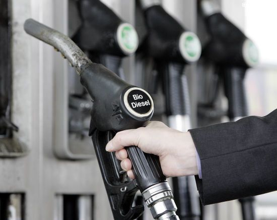  ���� �������� ������� ������� ������� ����� ������� ����� 