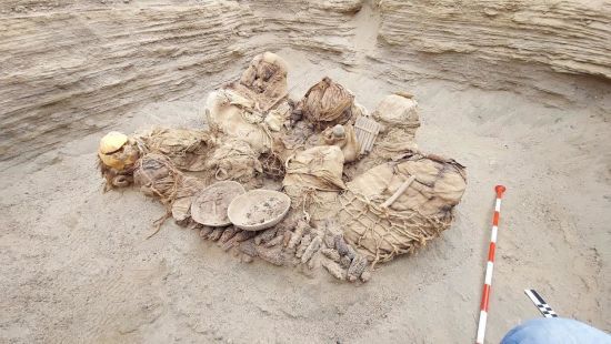  �������� ����� 800 ��� ����� ���������� 