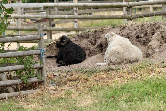  ���������� ������� ������� �������� ����� ����� 