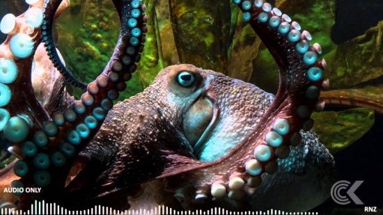  ������� ������ �������� ����� 