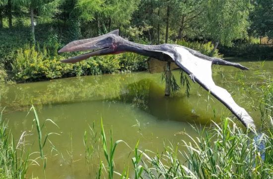 ����: ru.tsn.ua