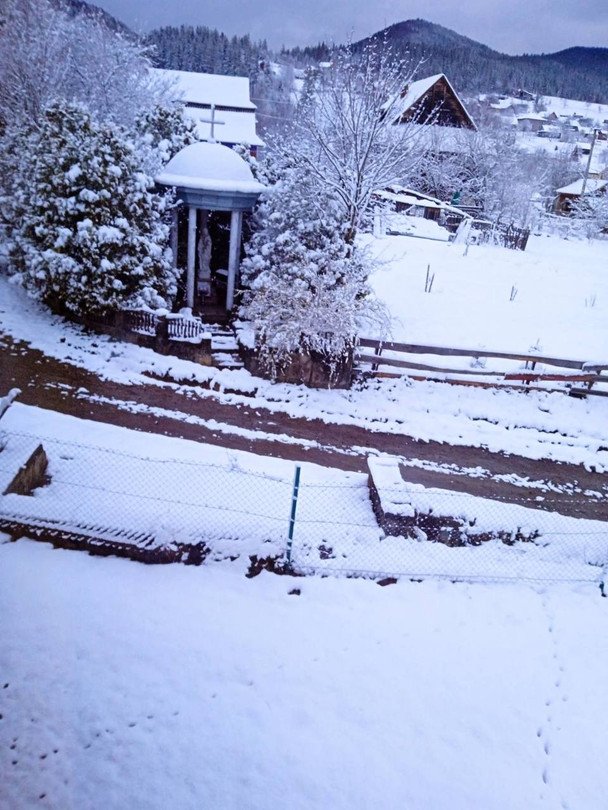 Снігопад на Закарпатті / © ТСН