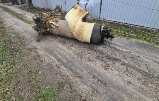  ������� ������ ������ ����� 