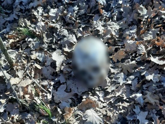 ����: ru.tsn.ua