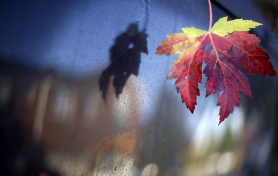  ������ ����� ����������� �������� ������� ���� ������� ���� 